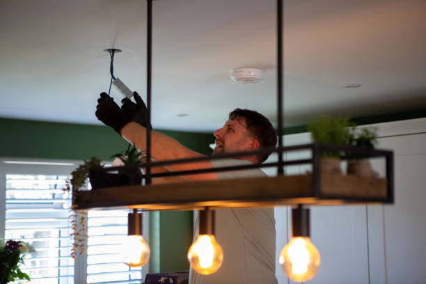 Best Electrician for Home Renovation  in Goodman, MO
